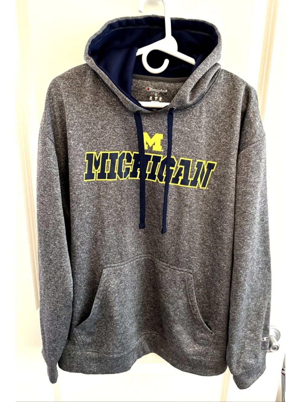 Michigan Wolverines Champion Hoodie Pullover Men's Size L Fleece Lined w/ Pocket